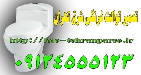 تعمیر توالت فرنگی شرق تهران ش